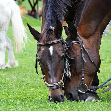 Pod Horami S Restauraciou 